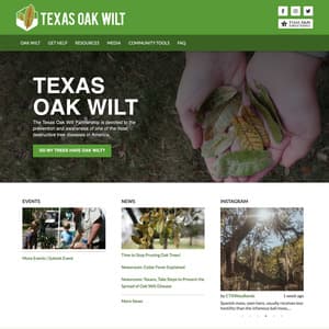 Texas Oak Wilt